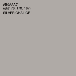 #B0AAA7 - Silver Chalice Color Image